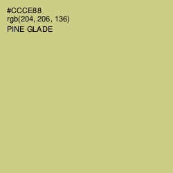 #CCCE88 - Pine Glade Color Image